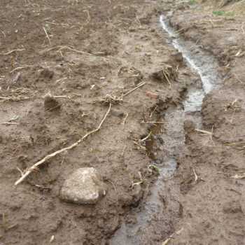 Bodenerosion auf einem geplügten Acker nach Regen