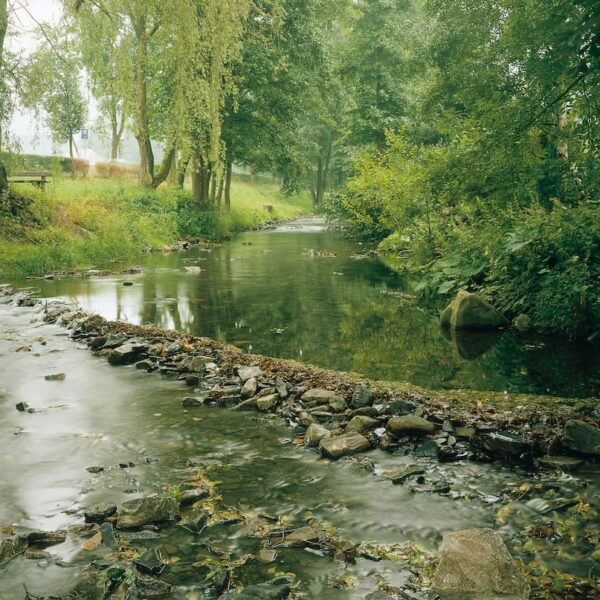 Naturnahe Flussentwicklung